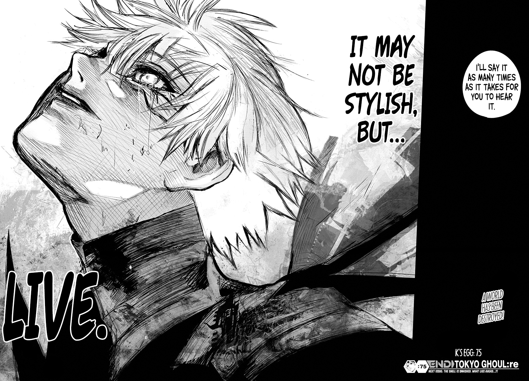 Tokyo Ghoul:re Chapter 75 18